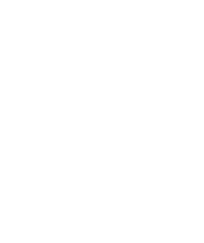 Conserto